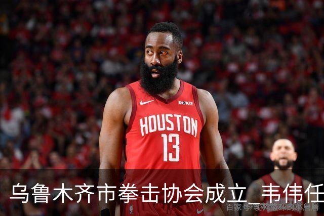 乌鲁木齐市拳击协会成立 韦伟任会长